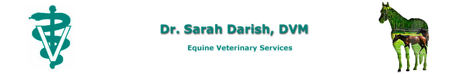 Lance Karcher Sarah Darish